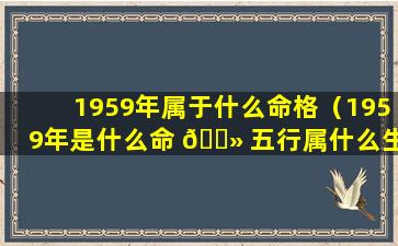 1959年属于什么命格（1959年是什么命 🌻 五行属什么生肖）